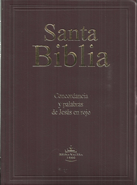 SANTA BIBLIA RVR082CLGiPJR VINO*