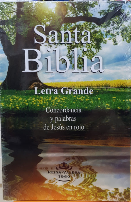 Biblia tapa rustica colores Letra Grande* | VERSION REINA-VALERA