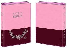 SANTA BIBLIA CON CONCORDANCIA  ROSADA.. | VERSION REINA-VALERA