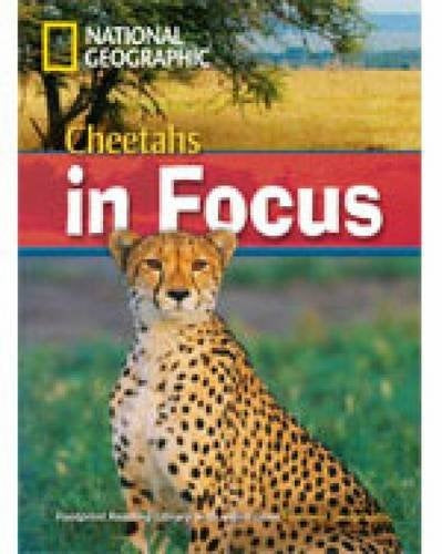 CHEETAHS IN FOCUS