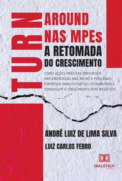 Turnaround nas MPEs - A Retomada do Crescimento | André Luiz de Lima Silva