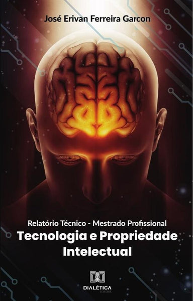 Relatório Técnico - Mestrado Profissional | José Erivan Ferreira Garcon