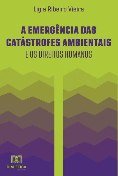 A emergência das catástrofes ambientais e os direitos humanos | Ligia Ribeiro Vieira