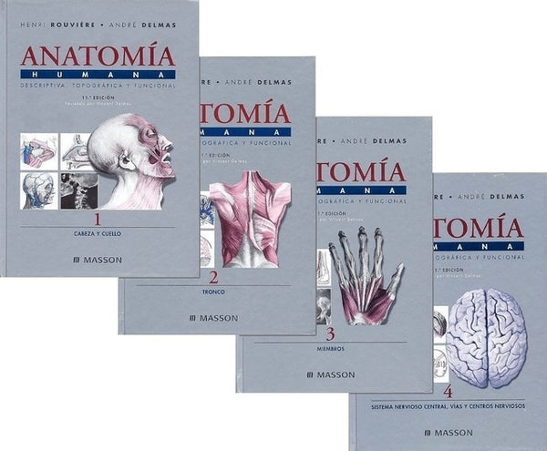 PACK ANATOMIA HUMANA 4 TOMOS.. | Rouviere