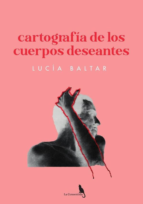 Cartografía de los cuerpos deseantes  | LUCÍA BALTAR