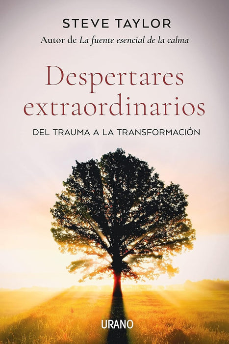 DESPERTARES EXTRAORDINARIOS DEL TRAUMA CONDUCE A LA TRANSFORMACION.. | STEVE TAYLOR