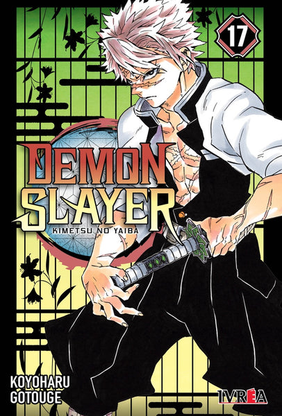 DEMON SLAYER 17