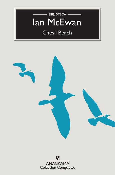 CHESIL BEACH | Ian McEwan