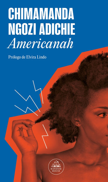 AMERICANAH..* | Chimamanda Ngozi Adichie