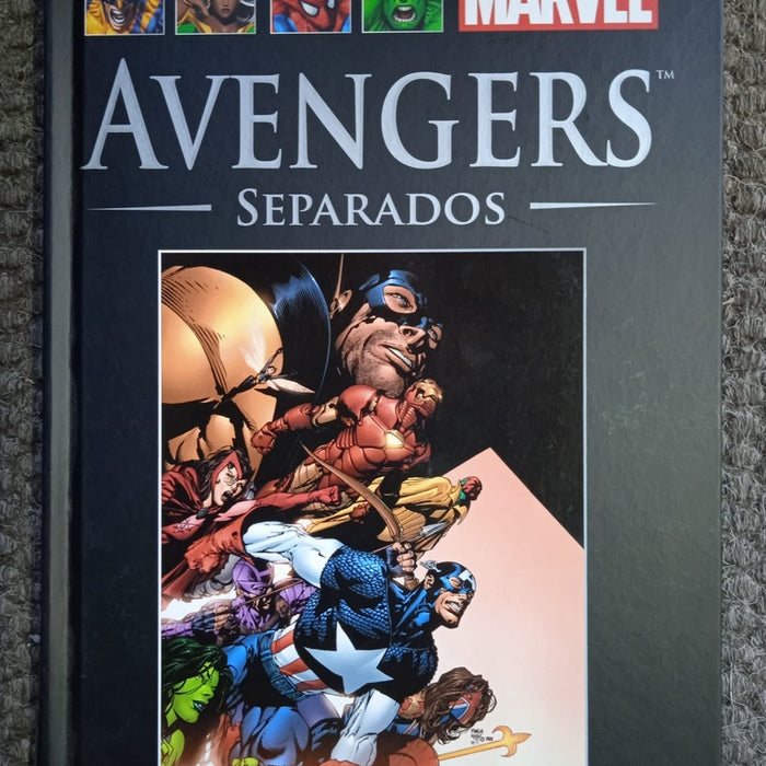 AVENGERS SEPARADOS.. | Brian Michael Bendis