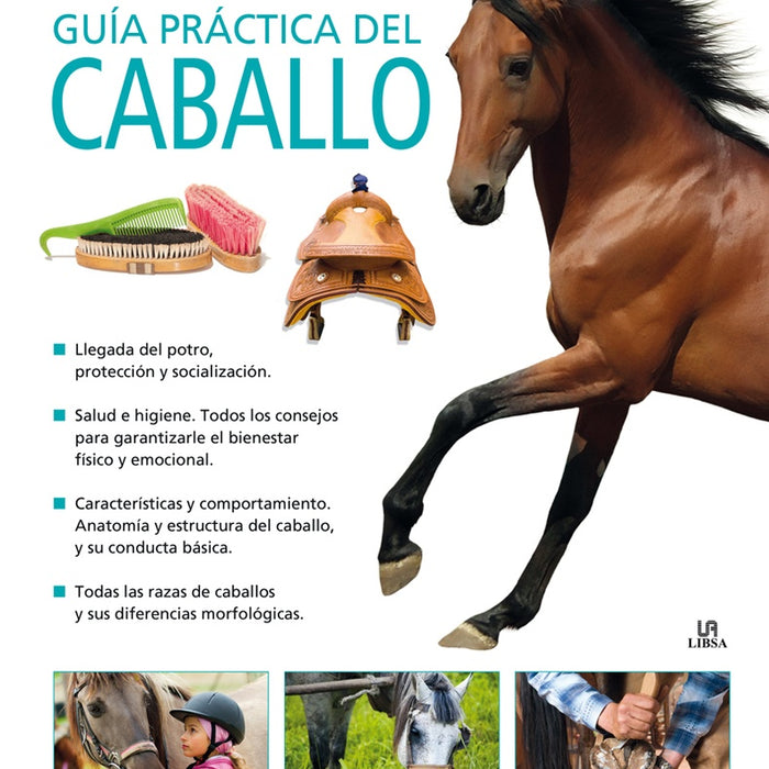 Guía práctica del caballo
