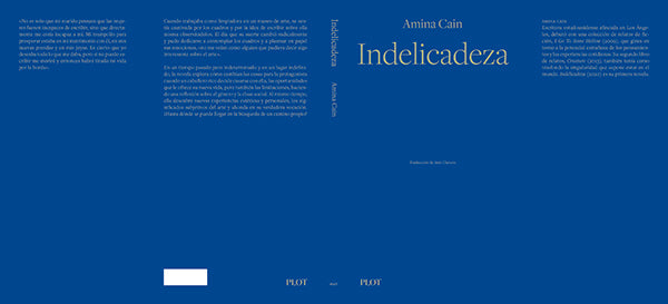 Indelicadeza | Amina Cain