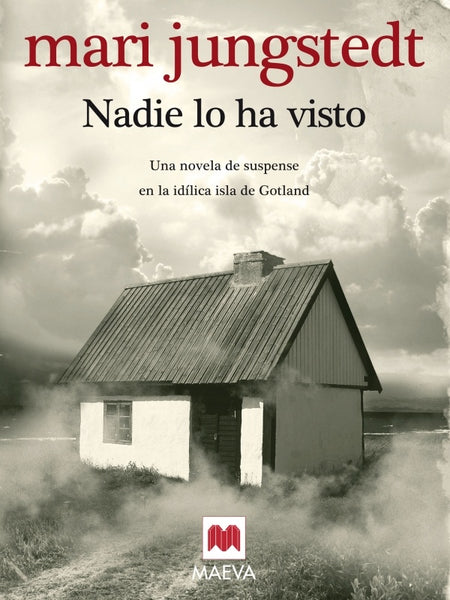 NADIE LO HA VISTO | MARI JUNGSTEDT