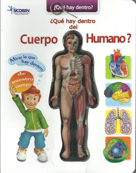 ¿Qué hay dentro del cuerpo humano?