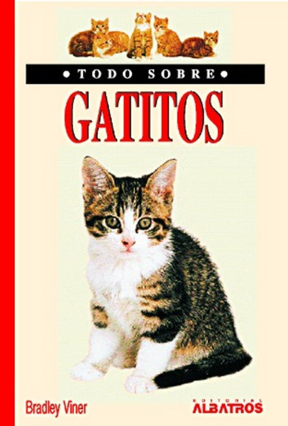 Todo sobre gatitos | Viner-Merlos