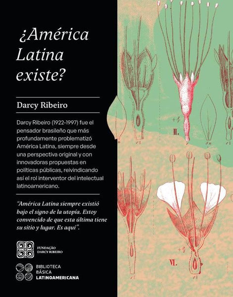 ¿América Latina existe? | Nepomuceno, Ribeiro