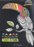 Arteterapia-naturaleza