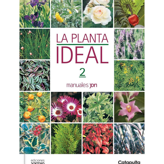 La Planta ideal 2 * | sin autor