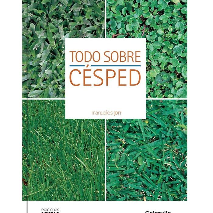 Todo sobre césped