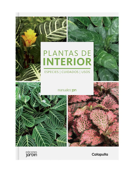 Plantas de interior jdn