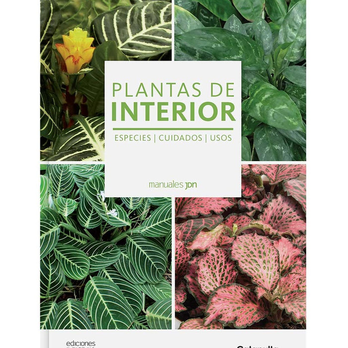 Plantas de interior jdn