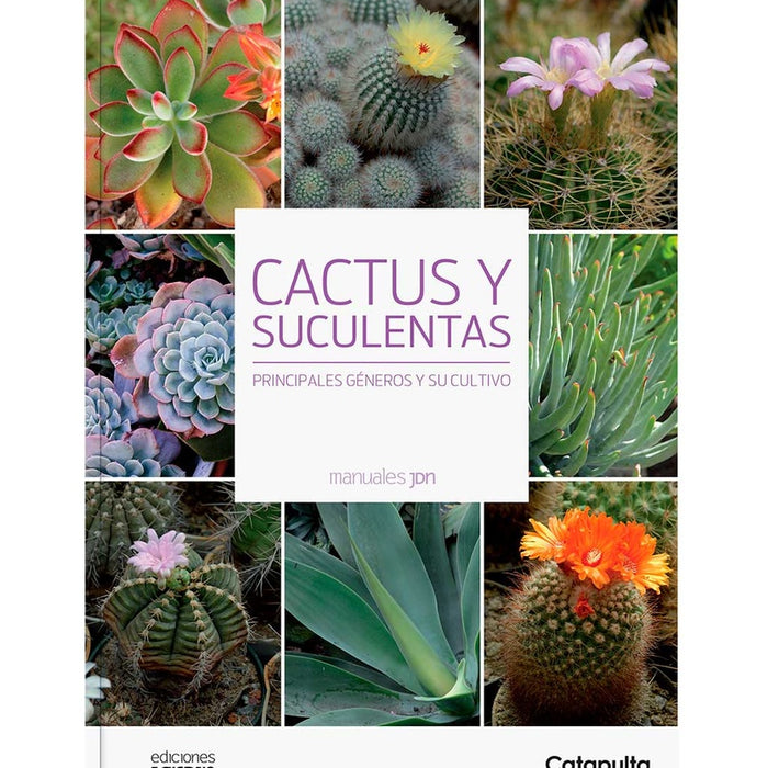 CACTUS Y SUCULENTAS