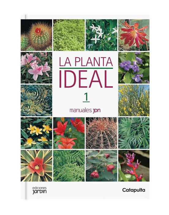 LA PLANTA IDEAL *