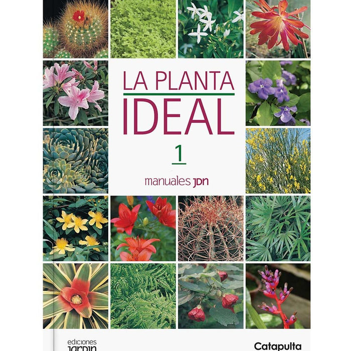 LA PLANTA IDEAL *