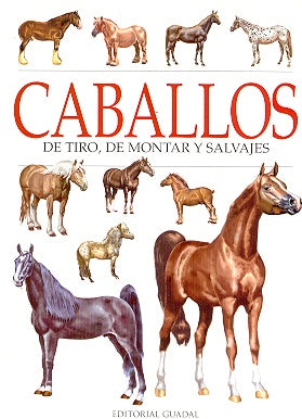 Caballos de tiro, de montar y salvajes | Espósito, Fiasche