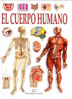 Cuerpo humano, El | Palermo-Fiasche