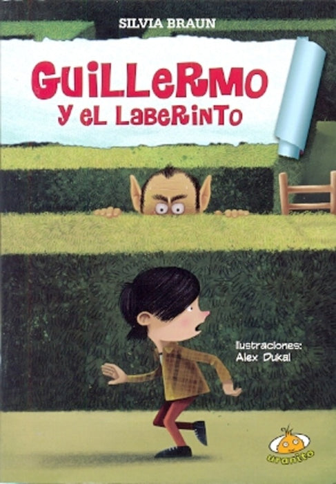 GUILLERMO Y EL LABERINTO | Silvia  Braun