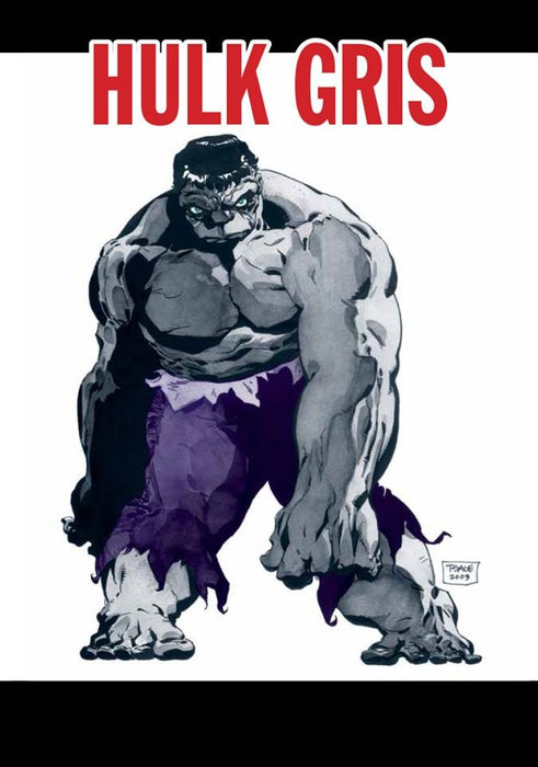 HULK: GRIS 5..