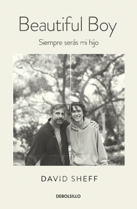 BEAUTIFUL BOY | DAVID SHEFF