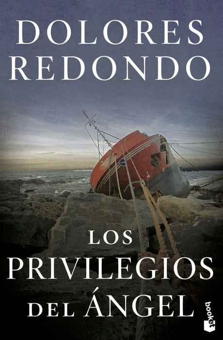 LOS PRIVILEGIOS DEL ANGEL* | Dolores Redondo