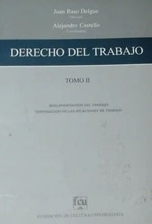 DERECHO DEL TRABAJO TOMO II. | JUAN RASO DELGUE