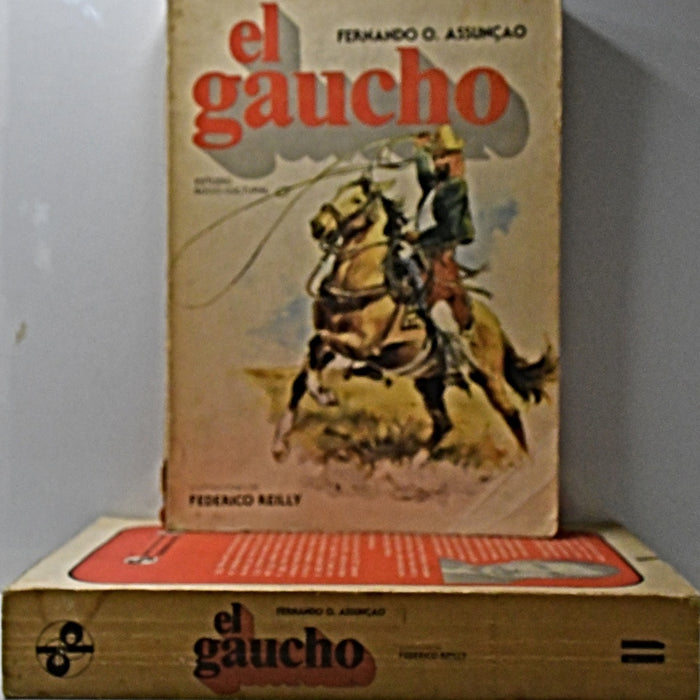 EL GAUCHO (2 TOMOS).. | FERNANDO O. ASSUNCAO