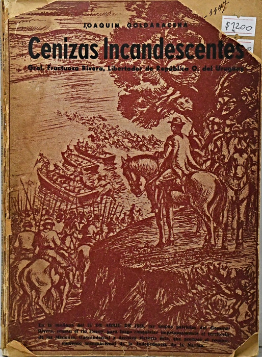 CENIZAS INCANDESCENTES.. | JOAQUIN GOLDARACENA