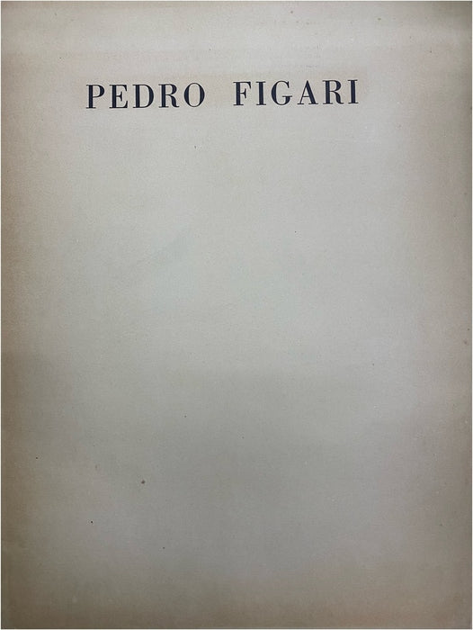 CARPETA PEDRO FIGARI.. | COMISIÓN NACIONAL DE BELLAS ARTES