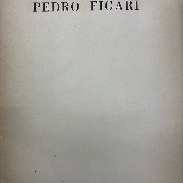 CARPETA PEDRO FIGARI.. | COMISIÓN NACIONAL DE BELLAS ARTES