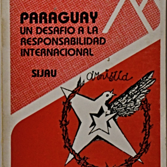 PARAGUAY UN DESAFIO A LA RESPONSABILIDAD INTERNACIONAL.. | Pila  Salaberry